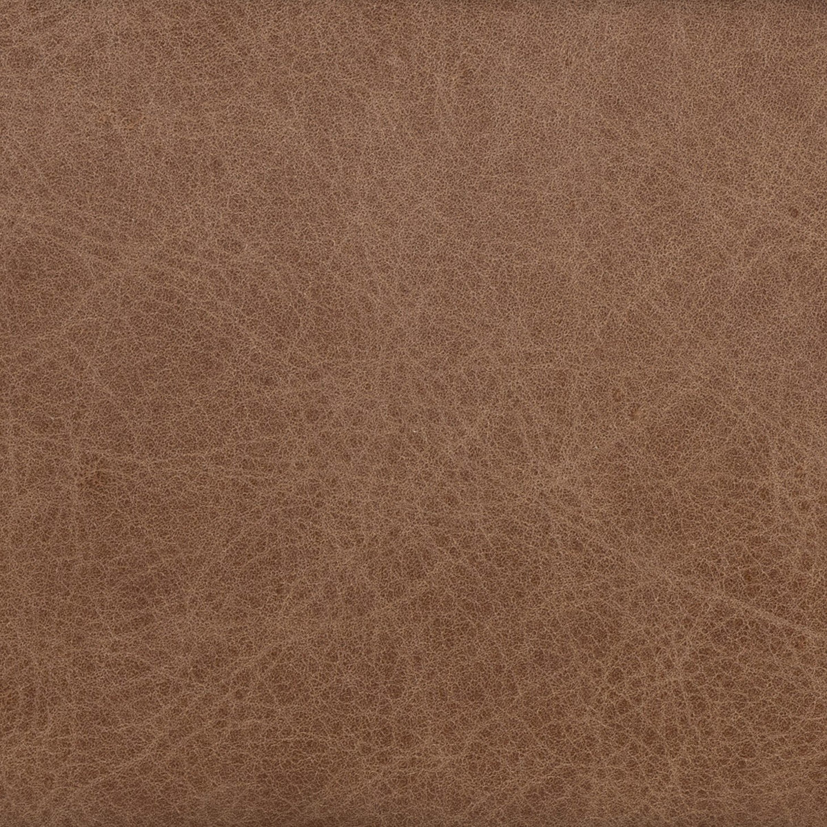 Banyan Bar + Counter Stool in Chaps Saddle showing rich textured leather finish.