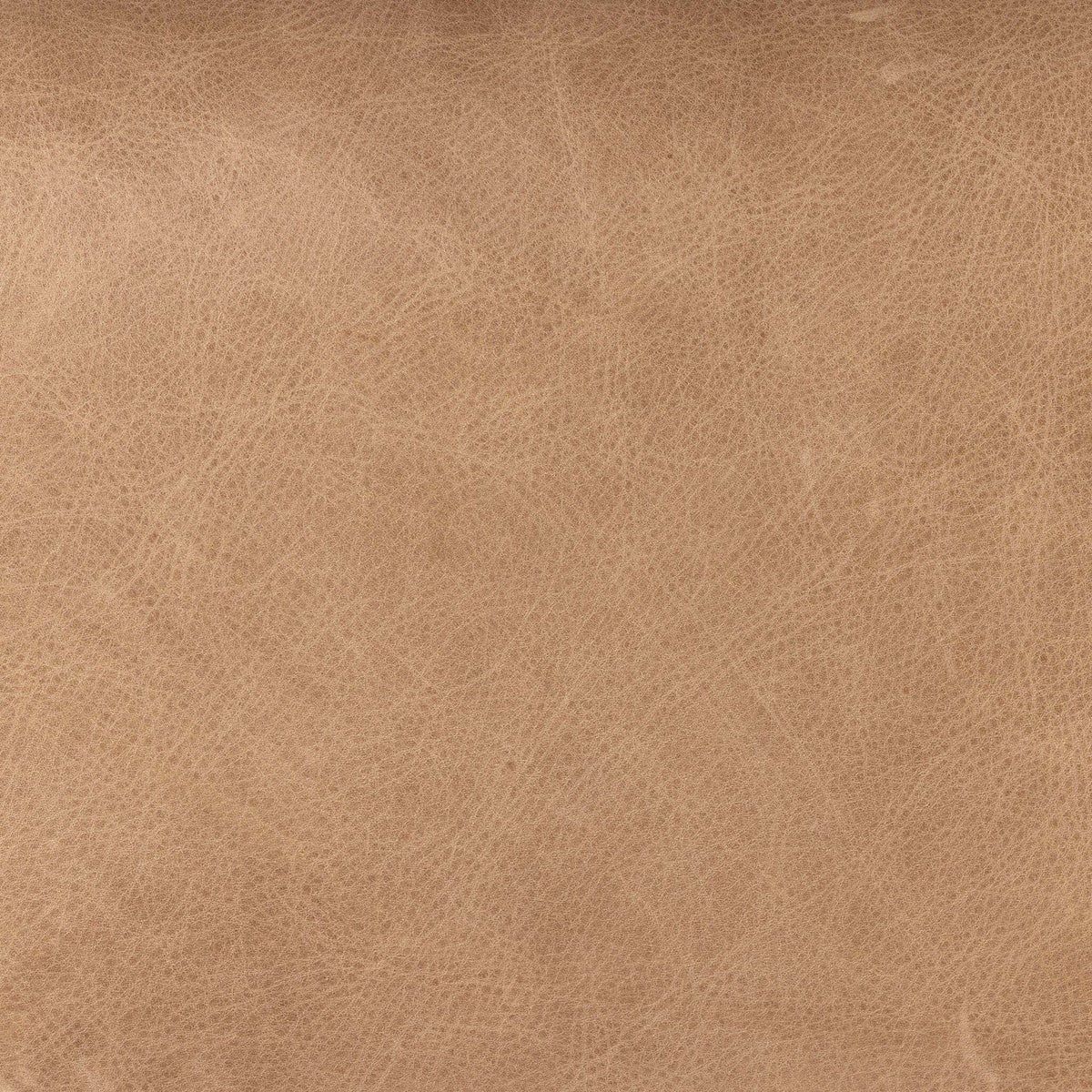 Palermo Nude textured leather swatch showcasing the soft, natural finish of the Remington Chair.