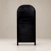 Sleek black Delta Cabinet with an arched top and minimalist design.