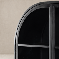 Sleek Delta Cabinet in black featuring an arched design and glass doors.