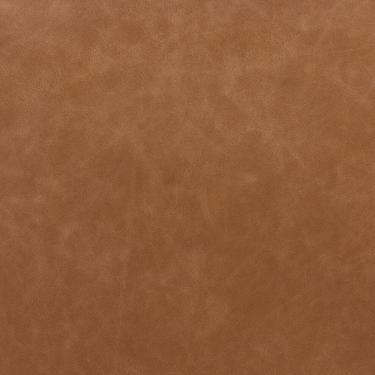 Sonoma Butterscotch finish of the Amato Dining Chair showcasing rich texture and warmth.