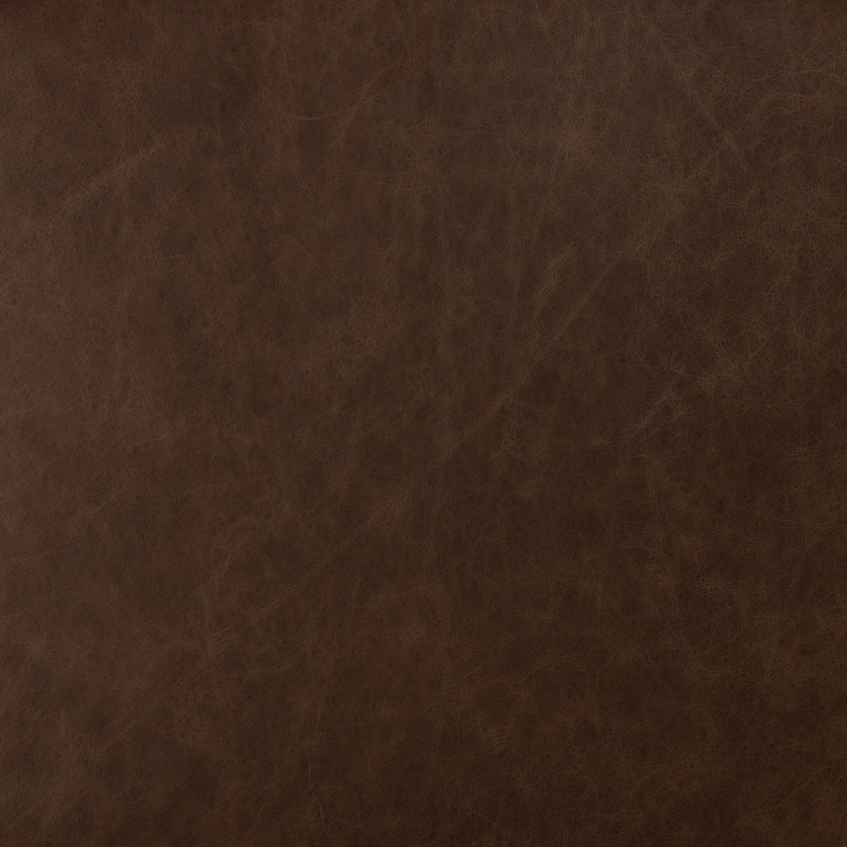 Textured Sonoma Coco finish of the Amato Dining Chair, showcasing rich, deep tones.