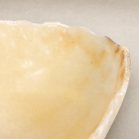 Onyx Jet Live Edge Bowl featuring smooth, natural contours and subtle variations in color.