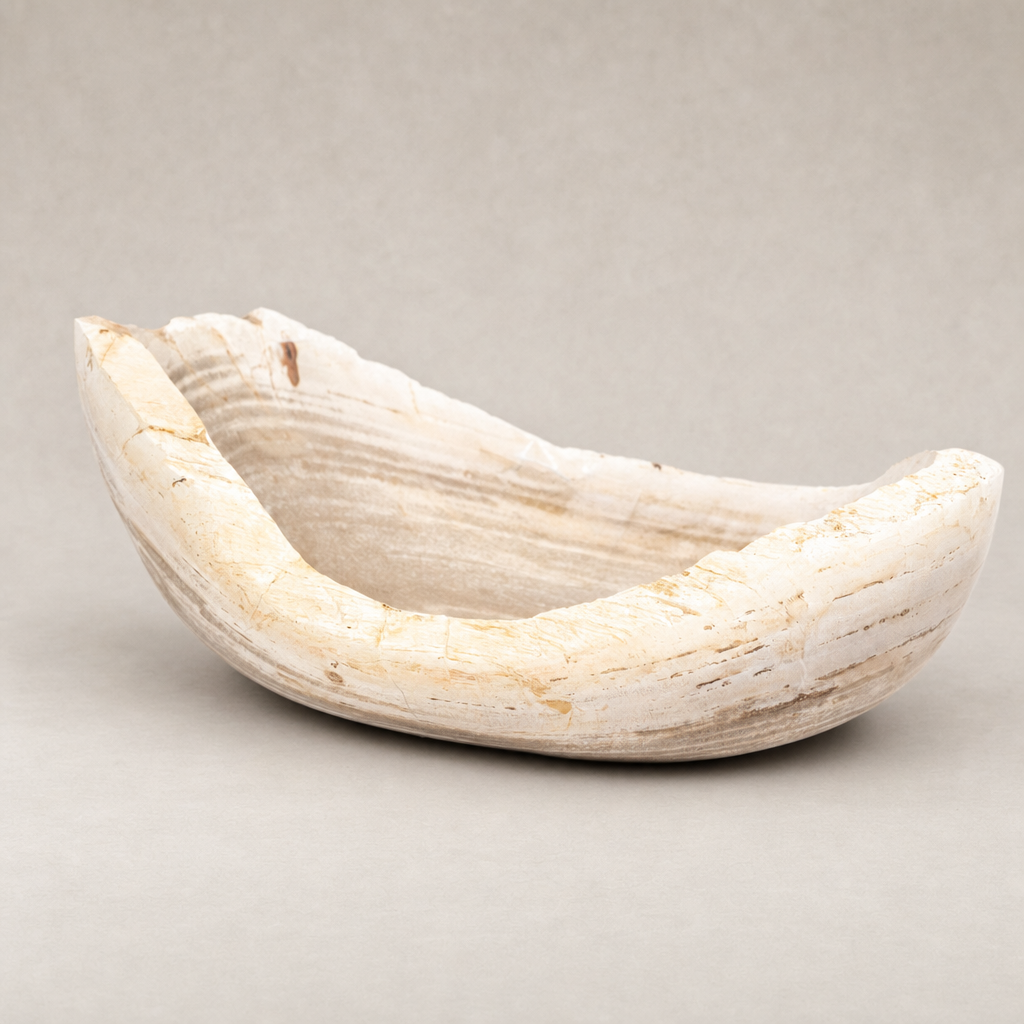 Light petrified wood bowl with smooth, organic curves and natural texture.