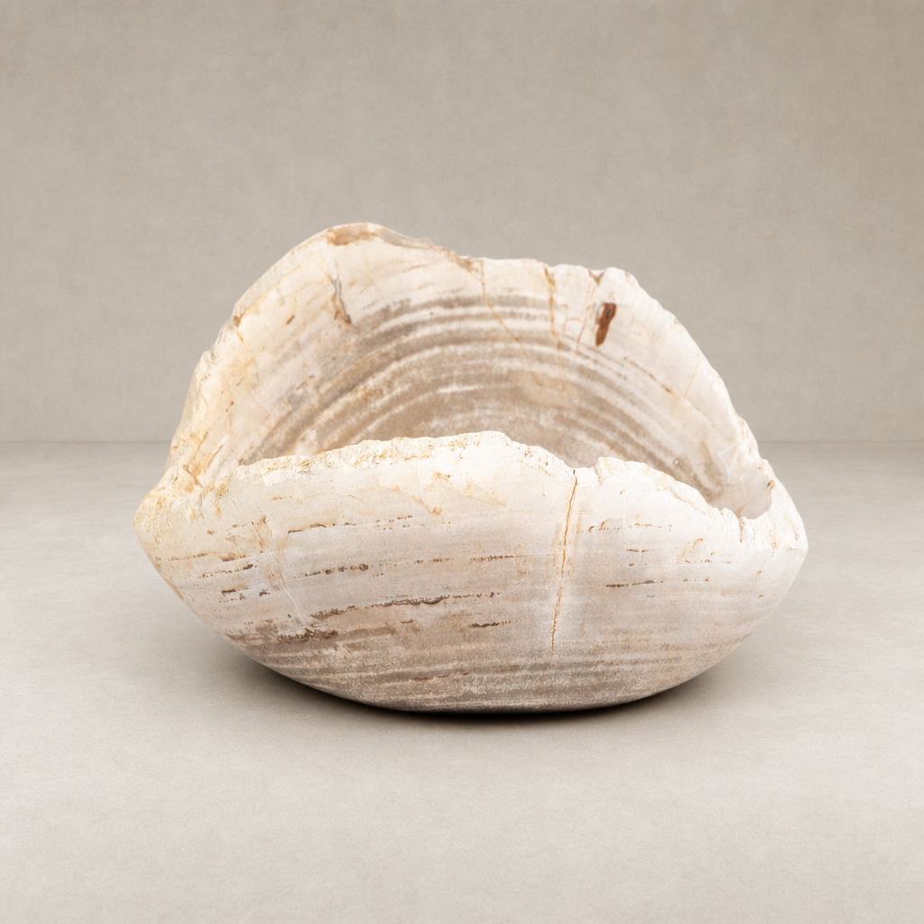 Opal Petrified Wood Bowl in light petrified wood with a unique organic shape.
