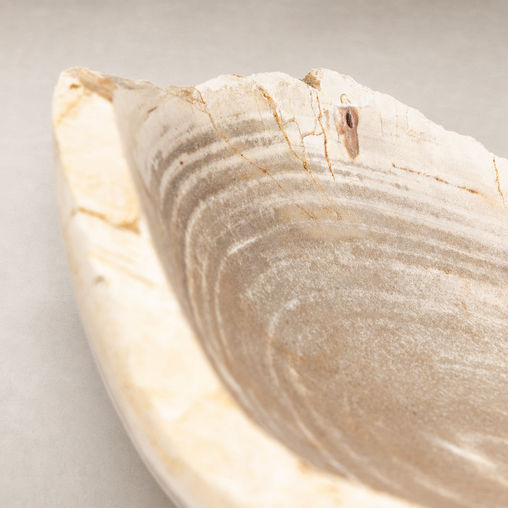 Opal Petrified Wood Bowl in light petrified wood with curved, textured interior surface.