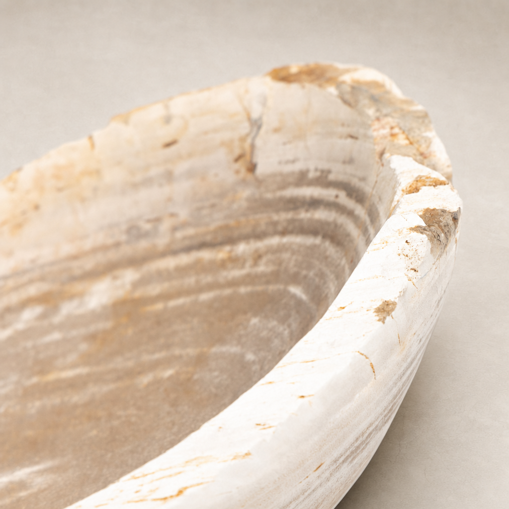 Opal Petrified Wood Bowl with smooth edges and natural light wood grain texture.