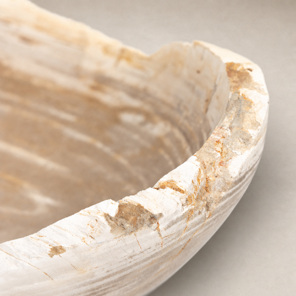 Close-up of an Opal Petrified Wood Bowl showcasing its light-colored wood grain and natural texture.