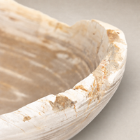 Close-up of an Opal Petrified Wood Bowl showcasing its light-colored wood grain and natural texture.