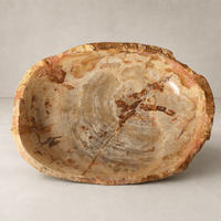 Opal Petrified Wood Bowl in light petrified wood with natural organic edges and smooth interior.