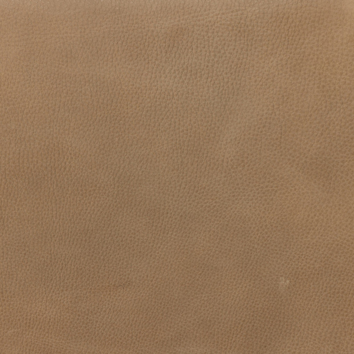 Soleil Chair in Palermo Drift showcases rich, textured leather with a warm tone.