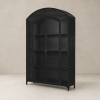 Quinn Wide Metal Cabinet in black featuring an arched top and spacious shelving.