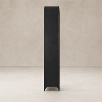 Quinn Wide Metal Cabinet with a sleek black finish, perfect for modern storage solutions.