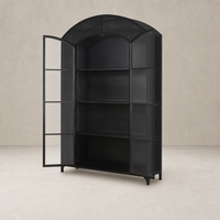 Quinn Wide Metal Cabinet in sleek black features open shelves and glass doors.