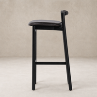 Nadia Bar + Counter Stool in Sonoma Black with a sleek, modern design and smooth finish.