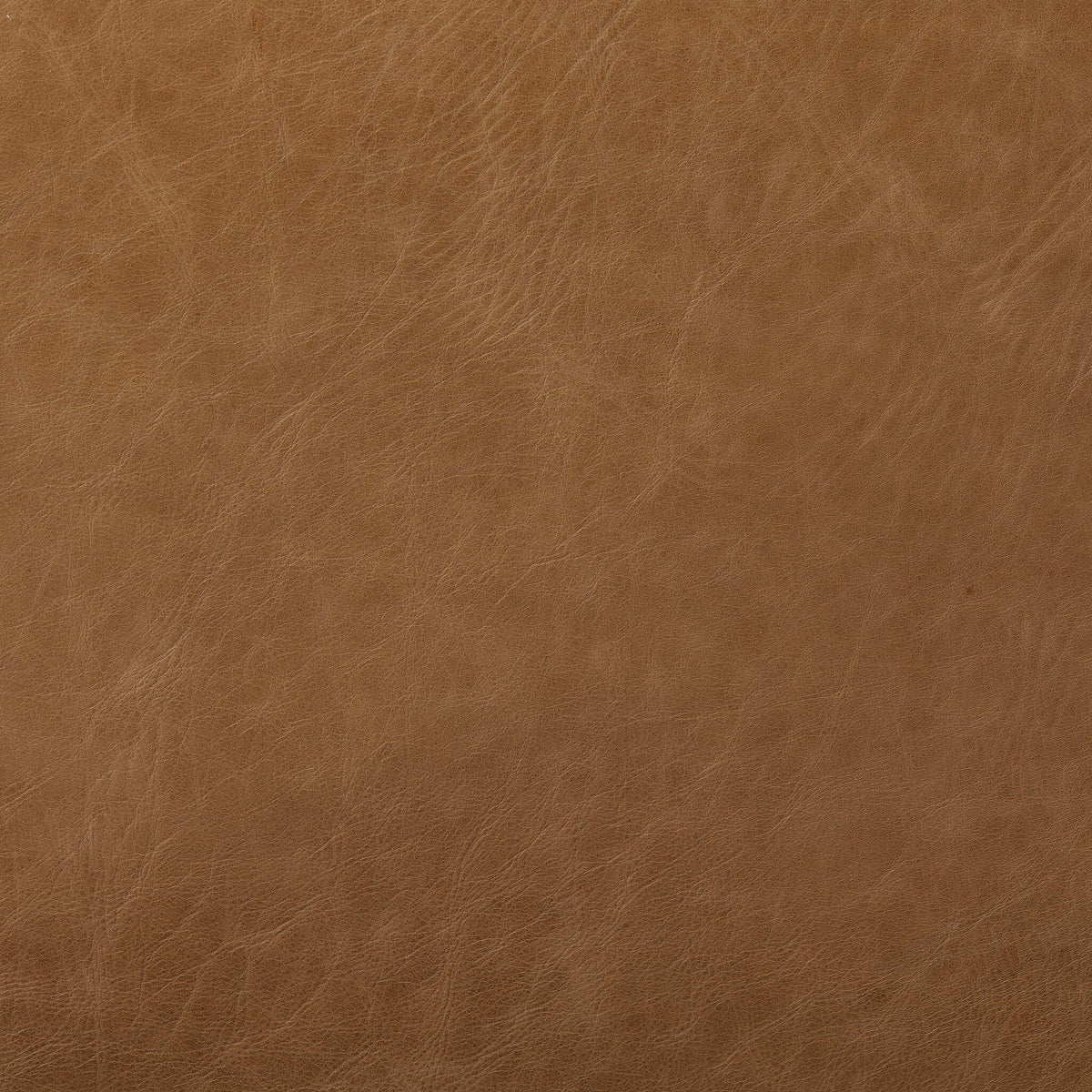 Close-up of Bremen Bar + Counter Stool in Sonoma Butterscotch leather texture.