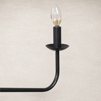 Antiqued iron chandelier with curved arms and glass bulb holder, elegant design.