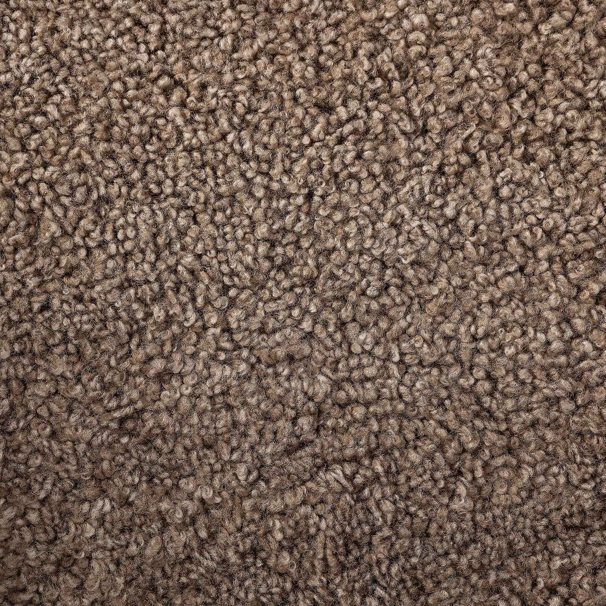 Taupe shearling texture close-up of the Poppy Swivel Chair upholstery.