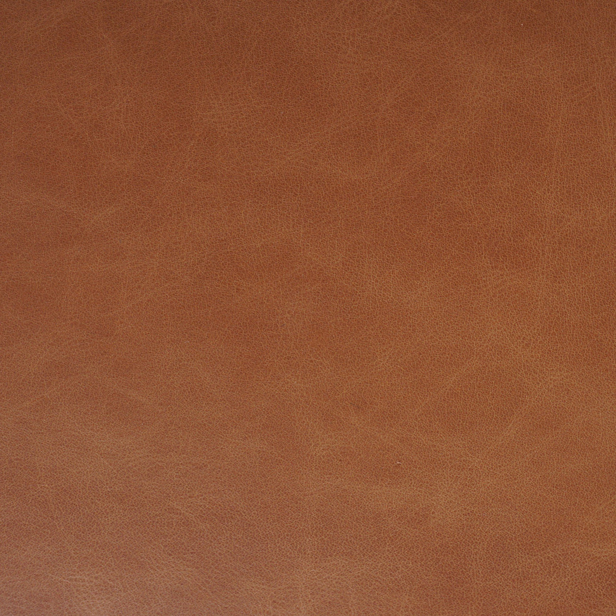 Sonoma Chestnut textured leather close-up showcasing rich hues in the Nori Dining Chair.