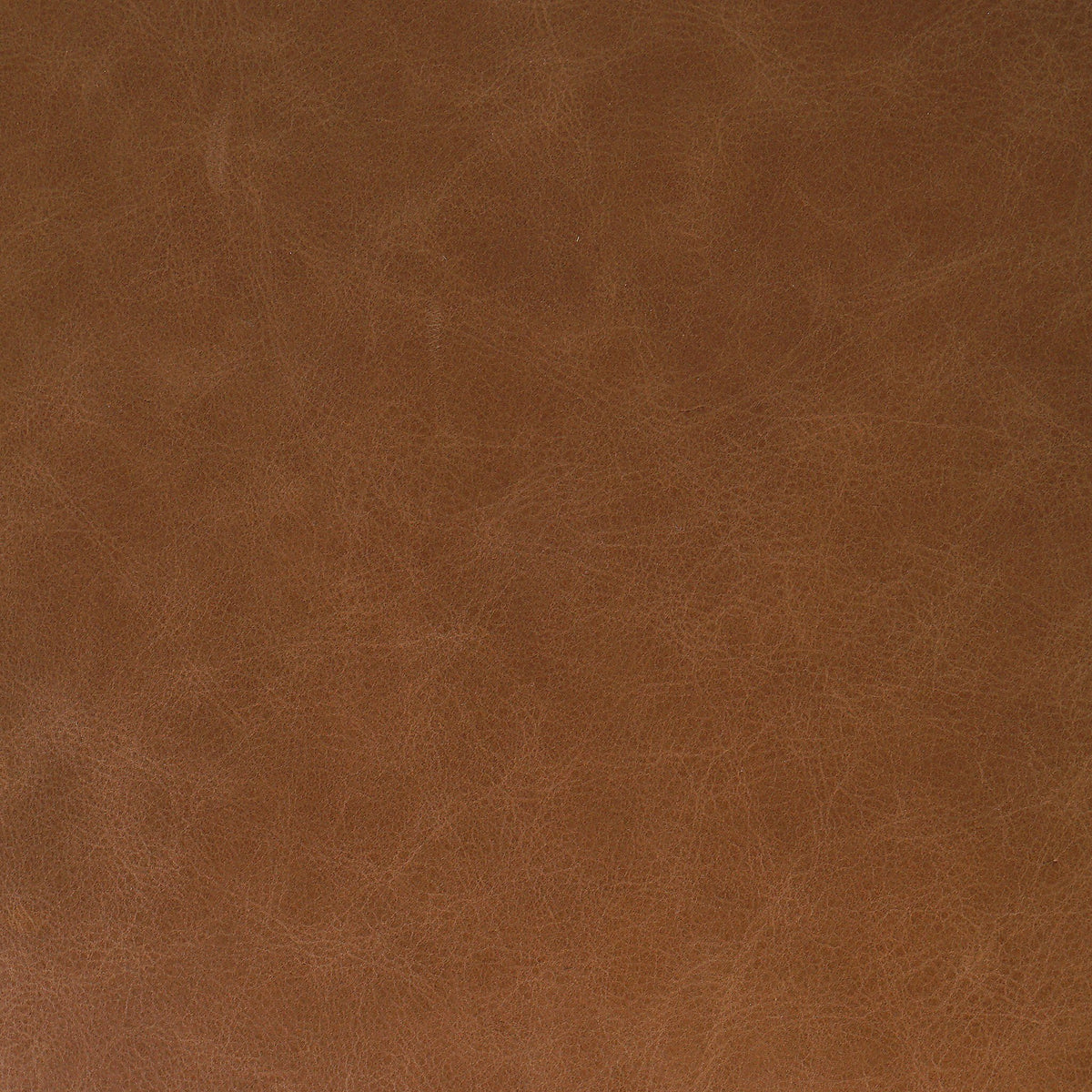 Bex Bar + Counter Stool in Sonoma Chestnut featuring rich, textured faux leather finish.