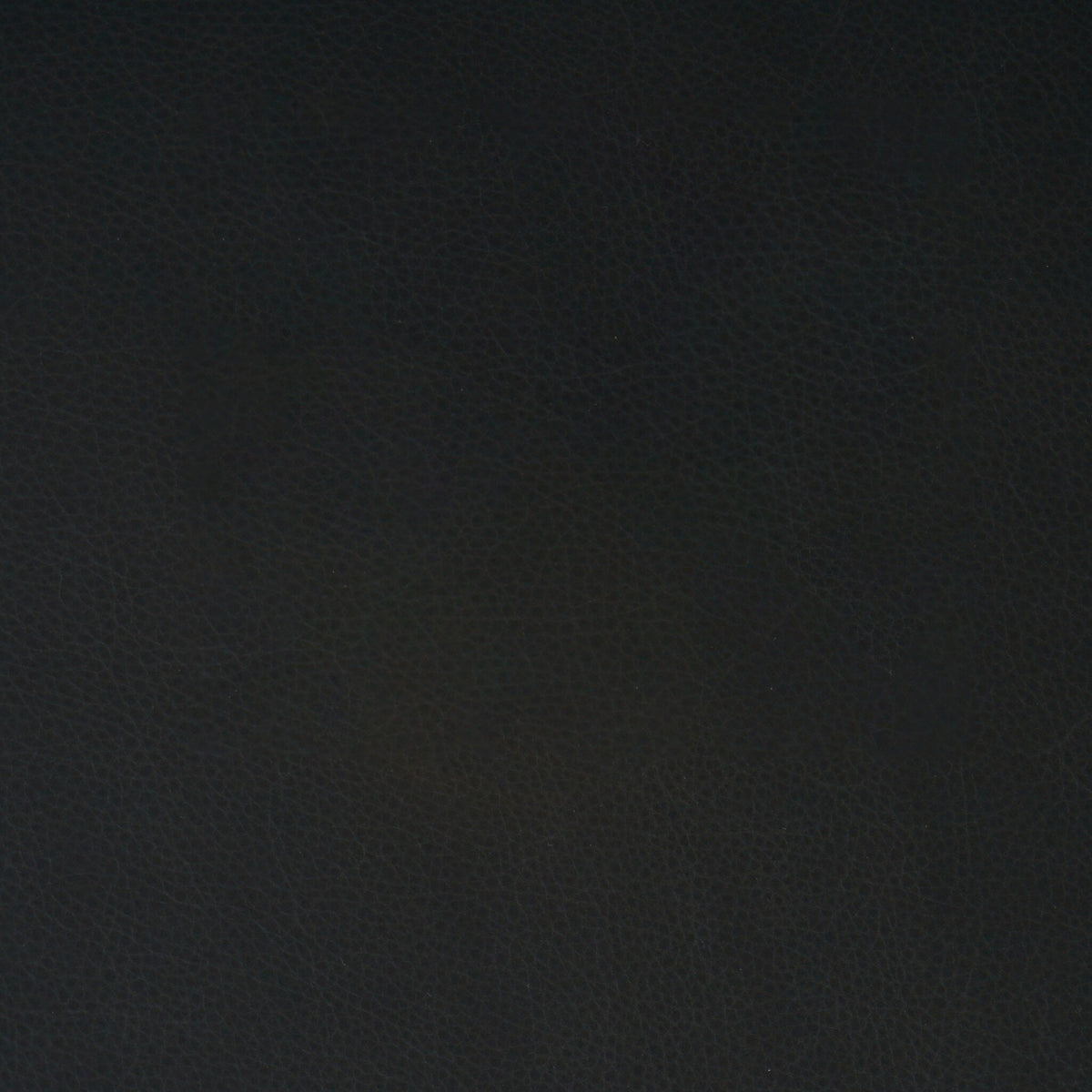 Close-up of the textured Brickhouse Black leather upholstery of the Bex Bar + Counter Stool.