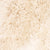 Champagne Mongolian Fur