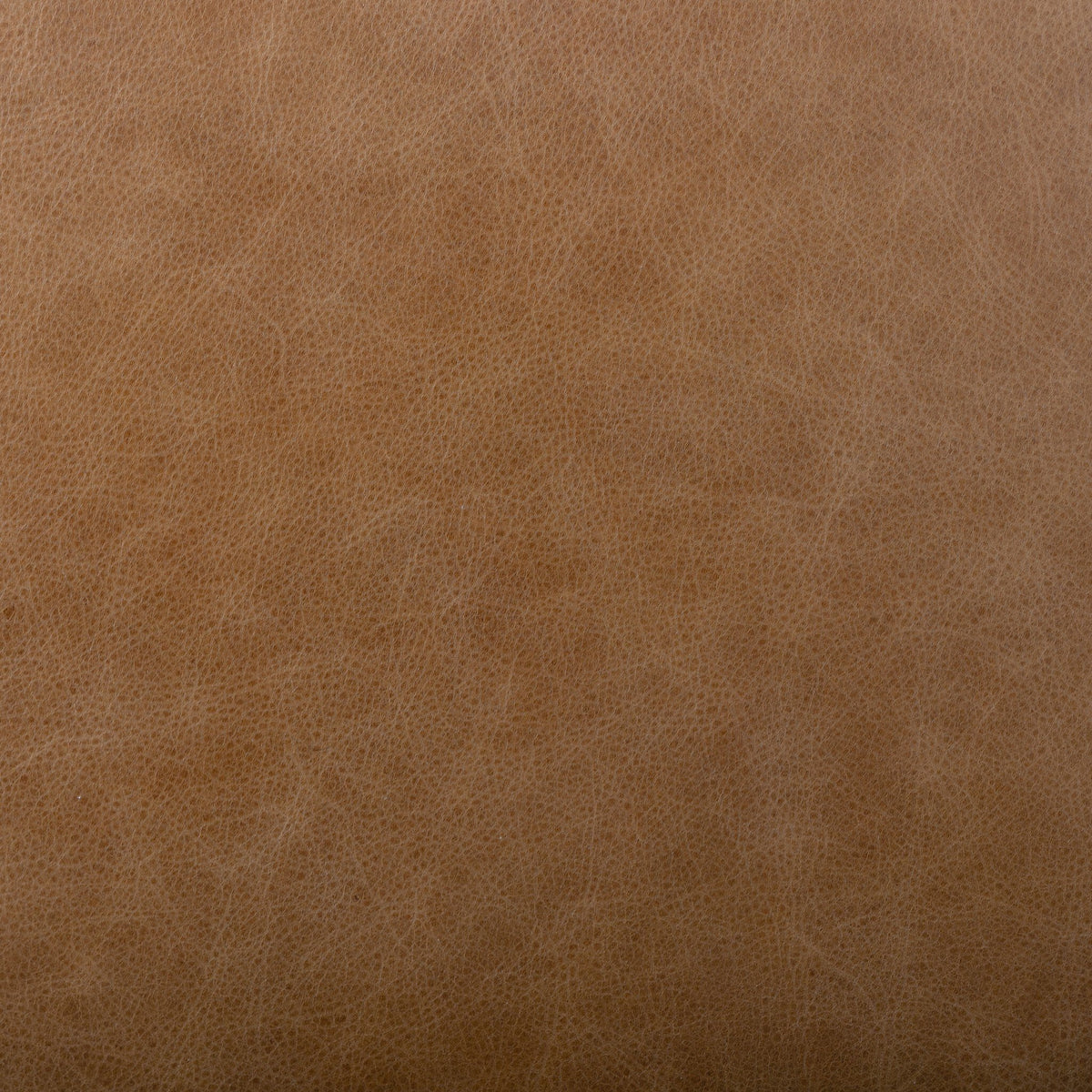 Close-up of Marfa Dining Chair's Chaps Saddle material, showcasing its smooth, textured finish.