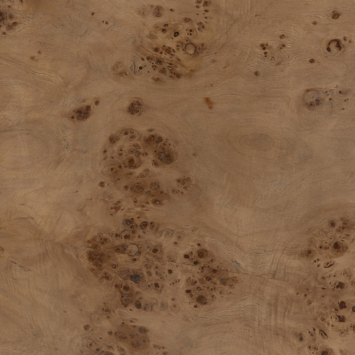 Caramel burl texture of the Calla Coffee Table showcasing intricate wood grain details.
