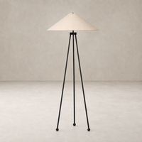 Matte black floor lamp with a conical shade and tripod legs for modern decor.