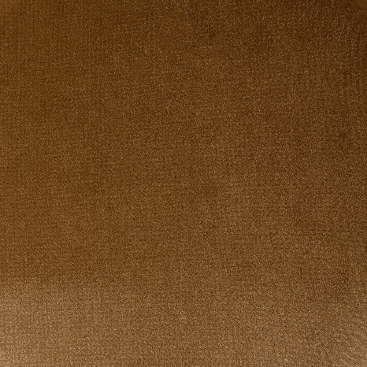Surrey Ochre velvet swatch showcasing rich texture and warm tones of Jasper Bar + Counter Stool.