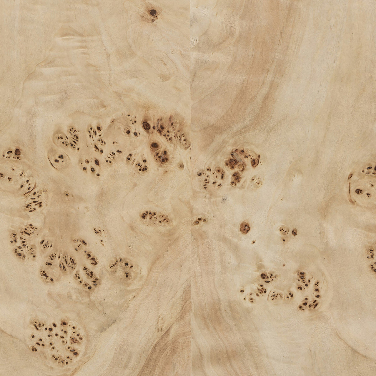 Selena Coffee Table features a light burl finish with unique grain patterns.