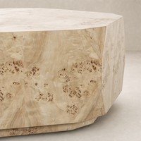 Selena Coffee Table in light burl featuring a unique textured surface and modern design.