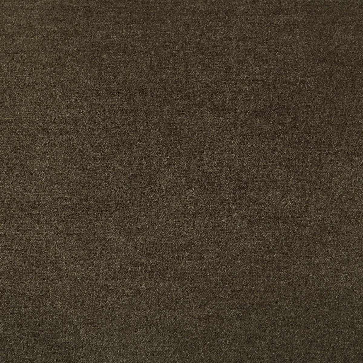 Monte Olive fabric swatch showcasing the soft, textured surface of the Elodie Chair.