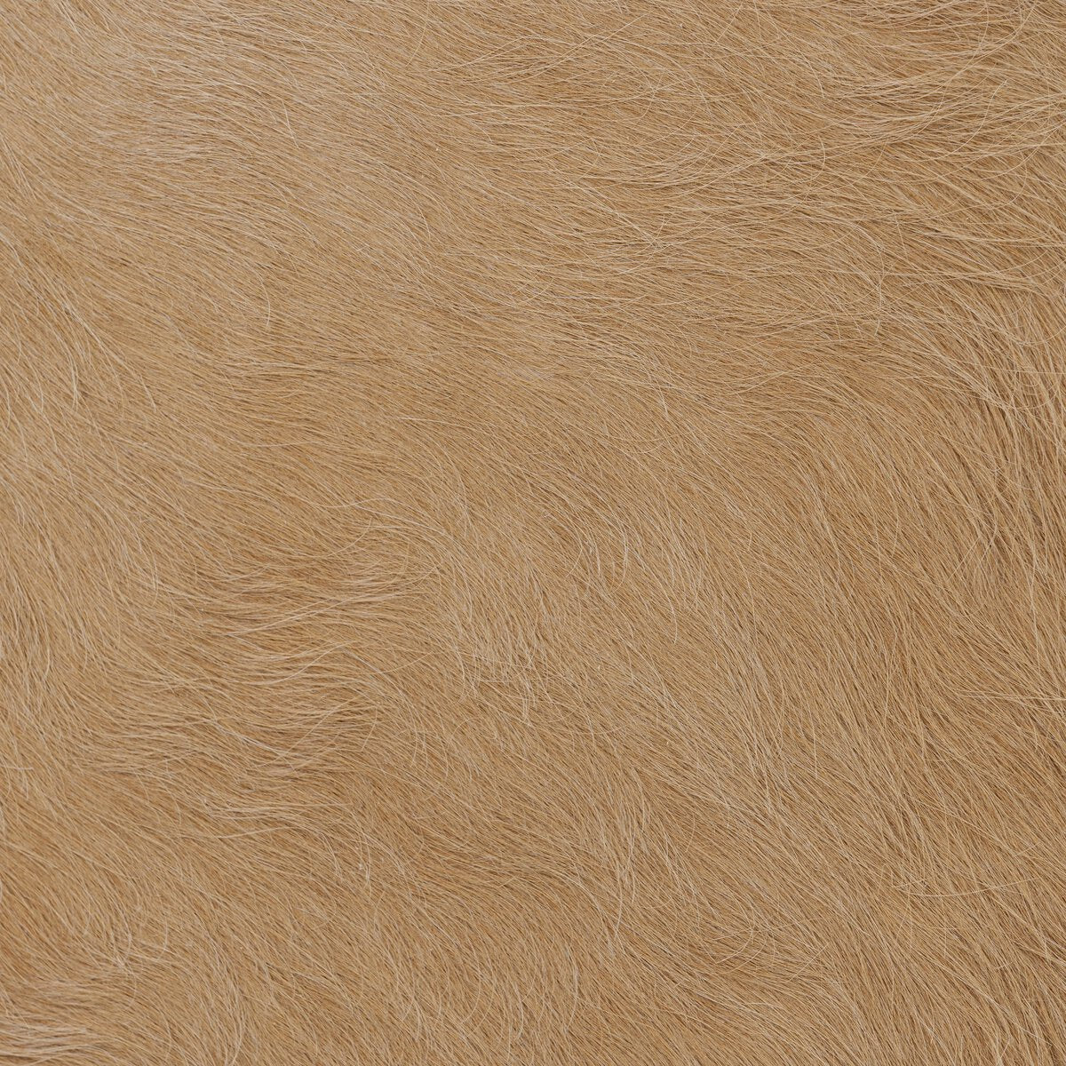Close-up of the Vale Accent Bench showcasing its soft, textured tan upholstery for a cozy look.