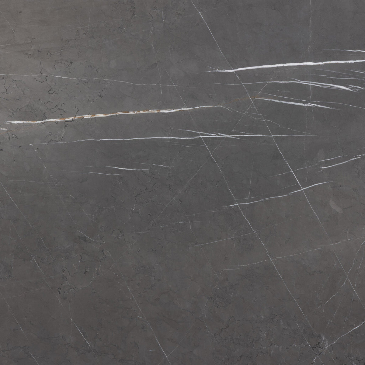 Grey Italian Marble surface of Rhea Coffee Table features elegant veining and texture.