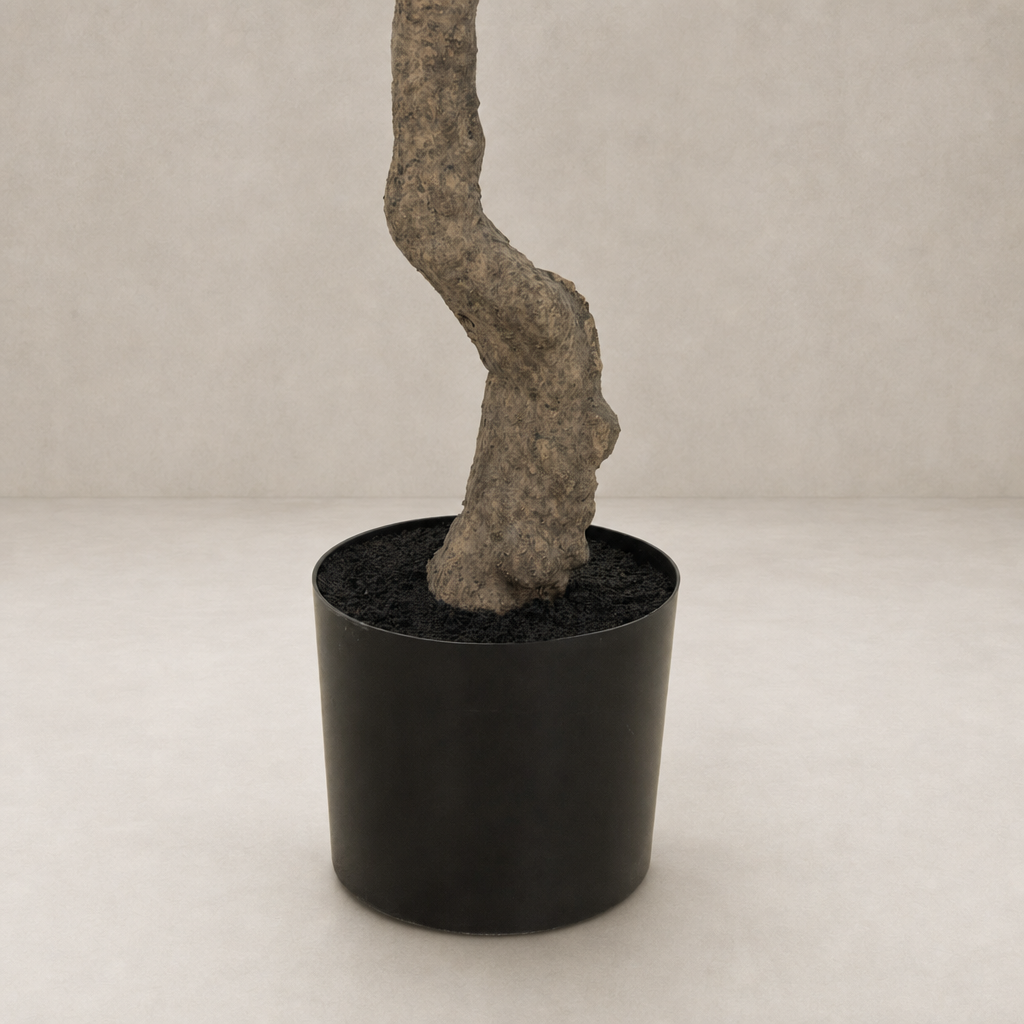 Faux Olive Tree in a sleek black pot with textured, twisted trunk.