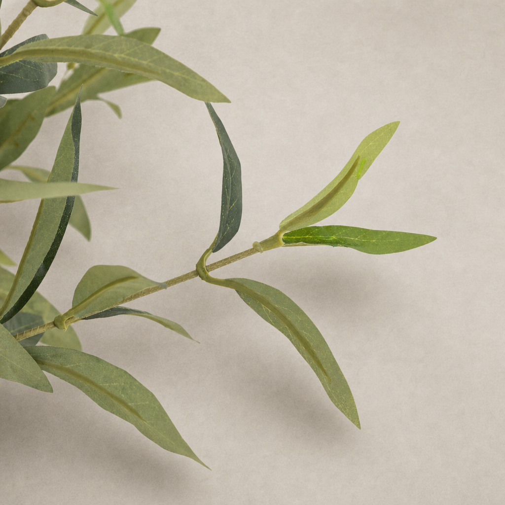 Close-up of Corsica Olive Tree leaves showcasing realistic faux material detail.