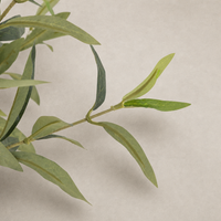 Close-up of Corsica Olive Tree leaves showcasing realistic faux material detail.