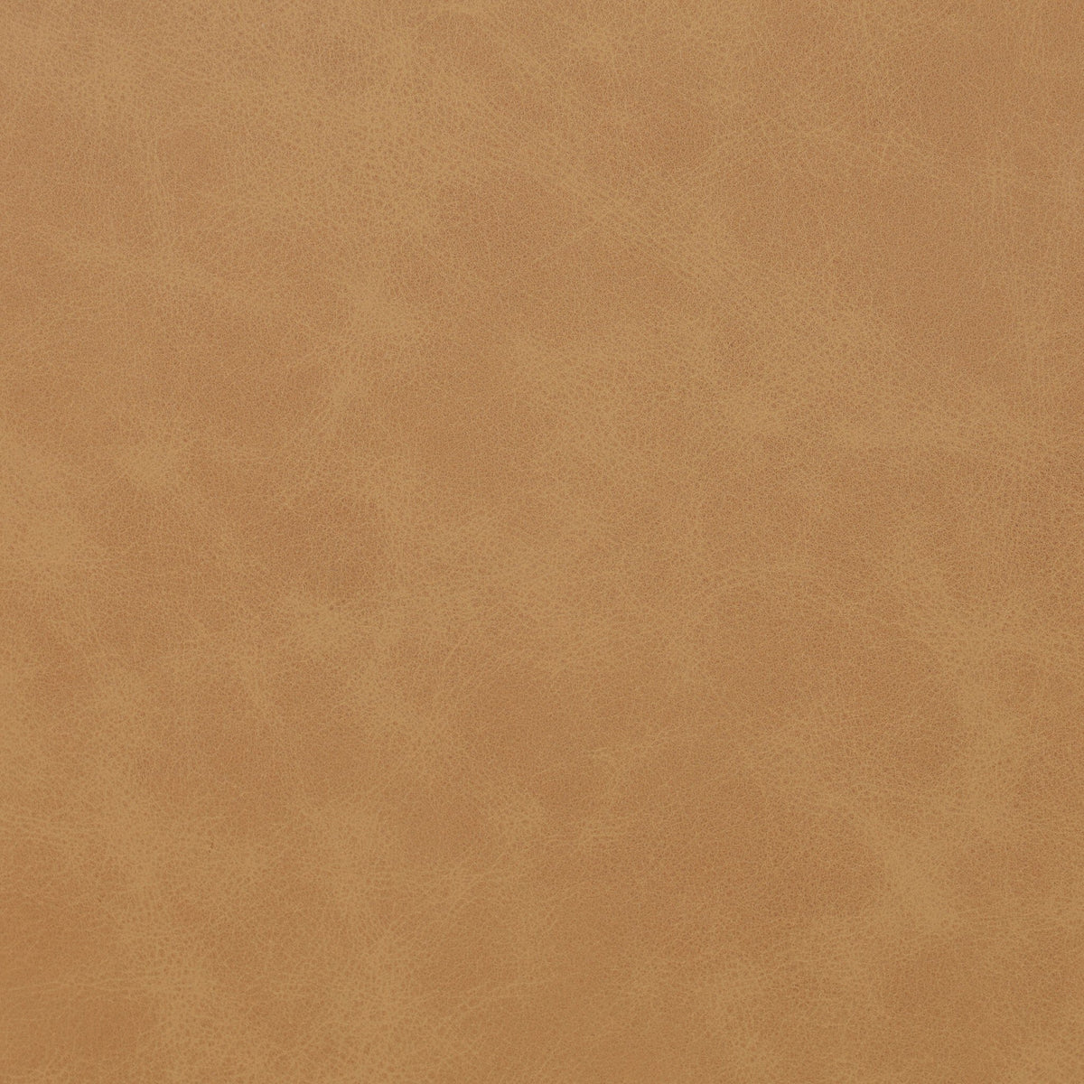Texture close-up of Maestro Camel material for Kauri Bar + Counter Stool.