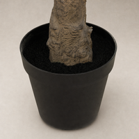 Faux Olive Tree Wide with detailed trunk in a matte black pot.