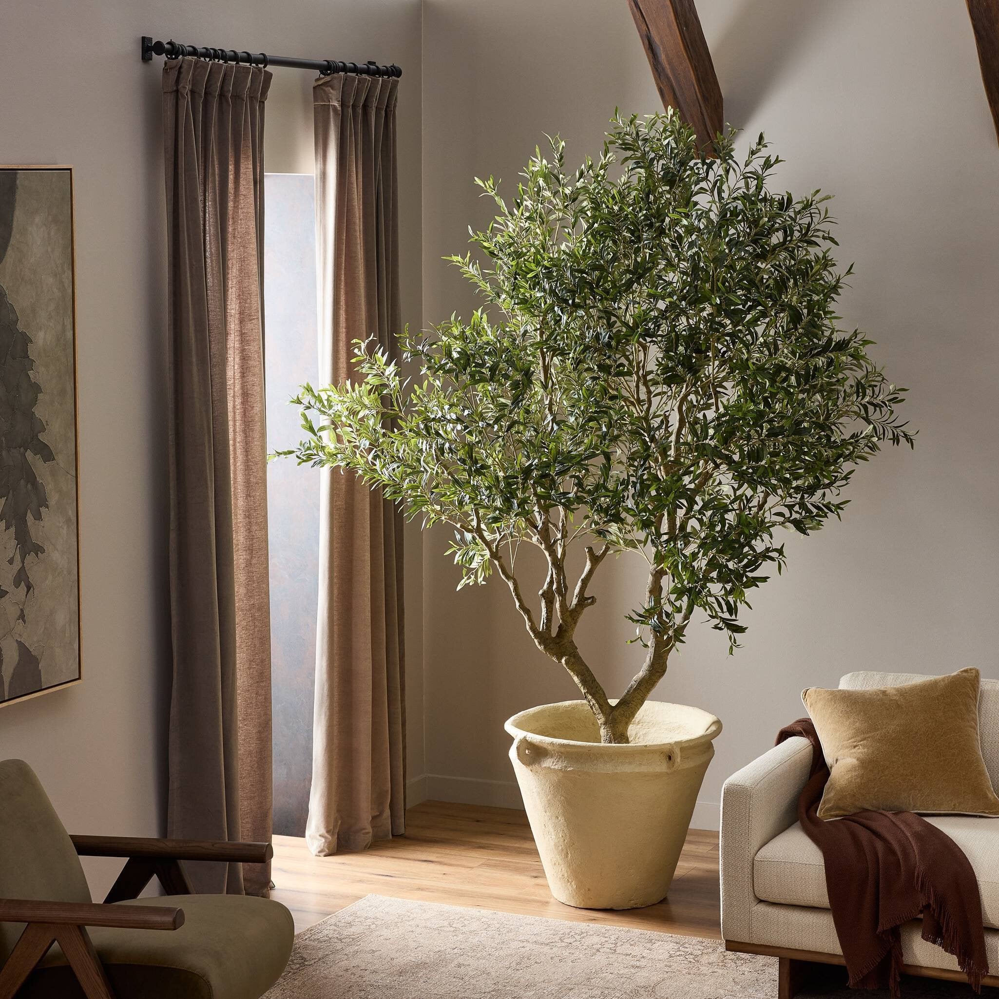 Iris Olive Tree Wide – The June House