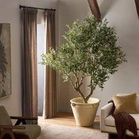 Lifelike Iris Olive Tree Wide in a textured cream pot, enhancing a cozy living room.