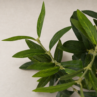 Close-up of vibrant leaves from the Iris Olive Tree Wide in faux material.