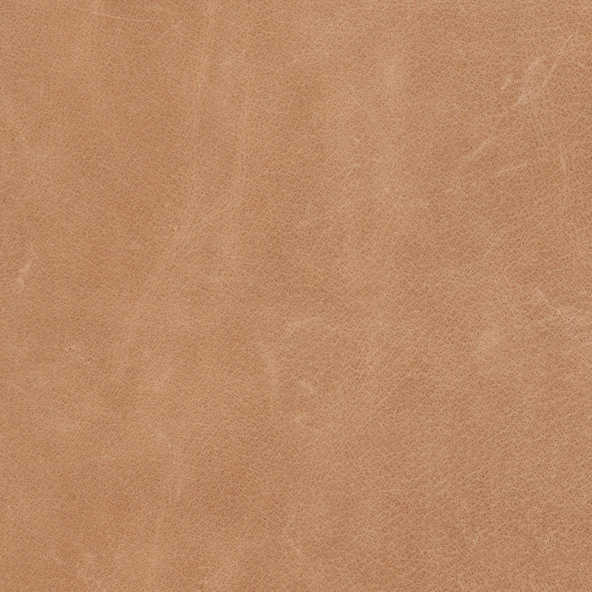 Winchester Beige dining chair showcasing smooth, textured upholstery with a contemporary design.