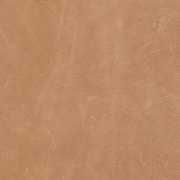 Winchester Beige dining chair showcasing smooth, textured upholstery with a contemporary design.