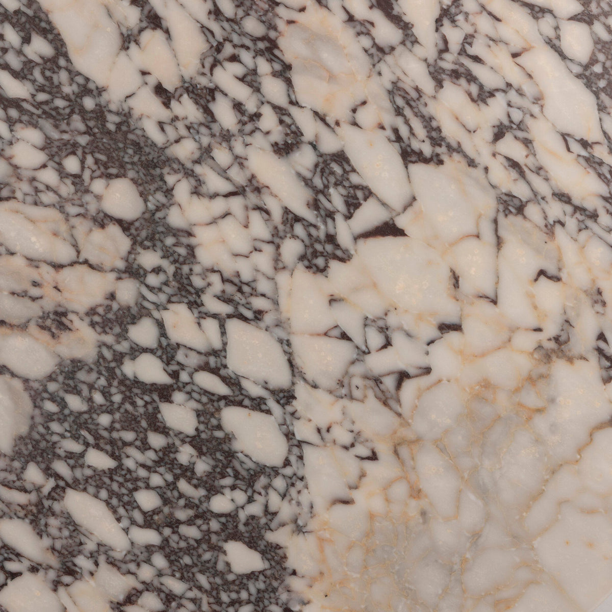 Close-up of Calacatta Viola marble showcasing unique patterns and rich texture.