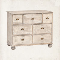 Multi-Drawer Merchant's Chest