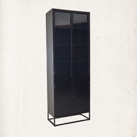 Anton Iron and Glass Cabinet