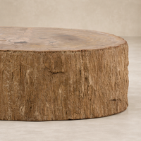 Close-up of the Arik Coffee Table showcasing its natural wood texture and rustic finish.