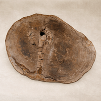 Detail of the Arik Coffee Table showcasing its unique, natural wood grain and organic shape.